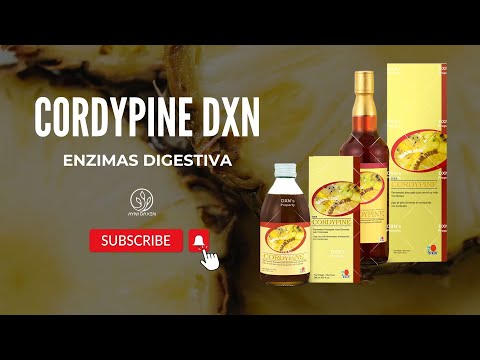 CORDYPINE DE DXN | BENEFICIOS DEL CORDYPINE DXN