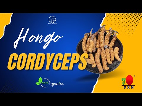 Cordyceps: ¿La Clave para un Bienestar Óptimo? ¡Descúbrelo Aquí!