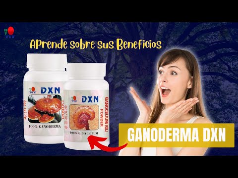 Ganoderma Lucidum (Reishi) 🔴 El Hongo de la Inmortalidad. Conoce sus Beneficios para la Salud