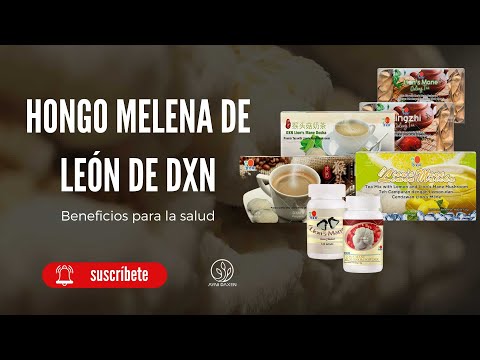 Hongo Melena de León de DXN | Melena de león propiedades para la salud