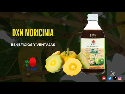 DXN Moricinia