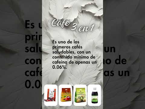 ¿Qué es la Ganoterapia? Descubre el poder del hongo Ganoderma 🍄💪