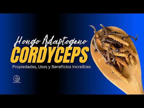 Qué es el Cordyceps y Por Qué Todos Hablan de Él 🌱