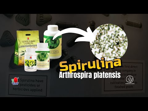 ¡Atención a la Spirulina! 🌿✨ Descubre sus beneficios y los nutrientes que aporta a tu salud 💪.