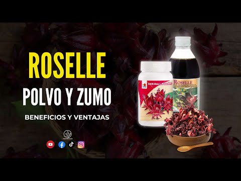 ROSELLE DE DXN | ZUMO Y POLVO DE ROSELLE BENEFICIOS Y VENTAJAS