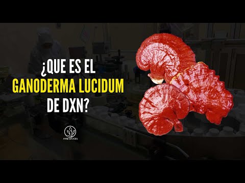 Ganoderma Lucidum de DXN | Valor nutricional del Ganoderma Lucidum DXN