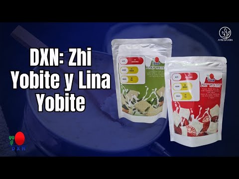 Energía y Nutrición en Cada Mordisco 🔴 DXN Zhi Yobite y Lina Yobite
