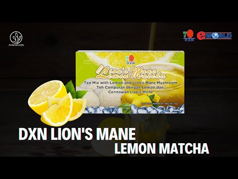 DXN Lion&#039;s Mane Lemon Matcha | Té con Melena de León de DXN
