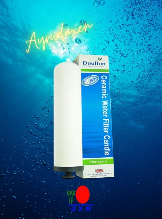 Un filtro cerámico de 0,9 micras hecho de diatomeas cerámicas altamente comprimidas impregnadas con plata.