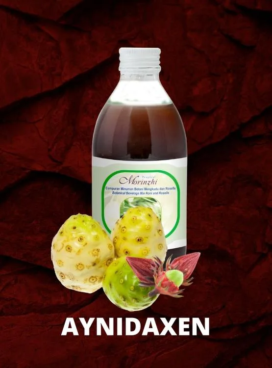 Morinzhi DXN, noni bebida botánico, presentado en una botella de vidrio, fruta de noni con hojas de noni.