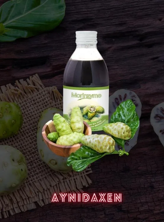 noni bebida botánico, presentado en una botella de vidrio, fruta de noni con hojas de noni.