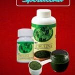 pomo de Tabletas de Spirulina de DXN en dos tamaños con una cuchara de spirulina en polvo.