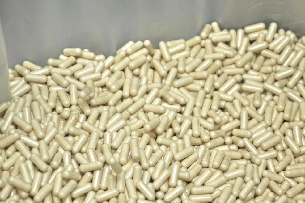 cápsulas de Ganoderma