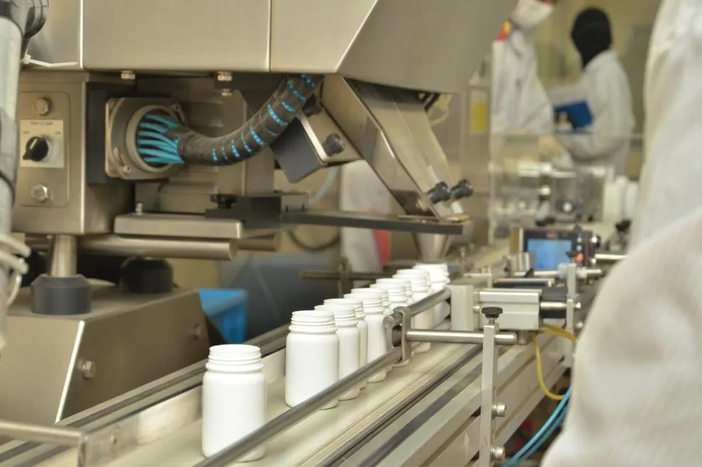 Máquina para empaquetar Ganoderma.