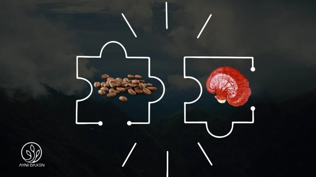 Ganoderma más Café fermentado DXN