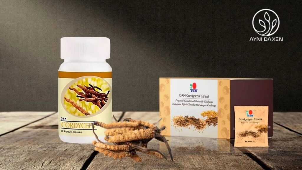 El CORDYCEPS CEREAL de DXN en la caja cacao polvo el hongo oruga.