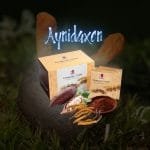 Cordyceps Cereal representada en una caja y por sobres con cacao y el hongo oruga Cordyceps.