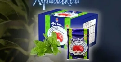 caramelo de menta de DXN llamado ZHI MINT PLUS