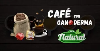 café con Ganoderma Lucidum saco de café saludable