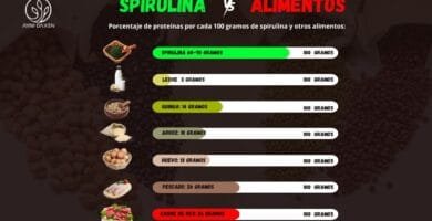 bondades de una Spirulina cereal y una tableta de Spirulina