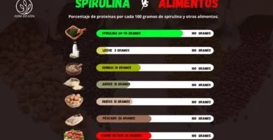 bondades de una Spirulina cereal y una tableta de Spirulina