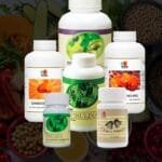 rg y gl ganoderma puro spirulina en tabletas cordyceps puro mycoveggie