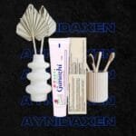 pasta dental caja sellada y pasta suelta con adornos de macetas de flores y cepillos de bambú.