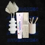 pasta dental caja sellada y pasta suelta con adornos de macetas de flores y cepillos de bambú.