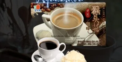 Tamaño del embalaje: 20 paquetes de 21 g por caja café de melena de León
