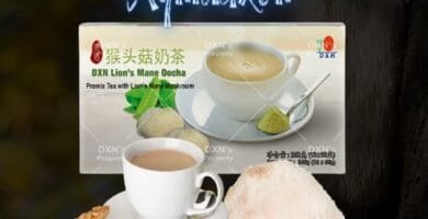 DXN Melena De León Oocha 12 paquetes de 30 g por caja.