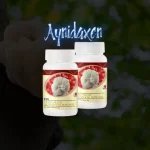 Polvo De Hongo Melena De León DXN