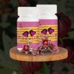 Cáliz Rojo Granate "Flor de Jamaica"