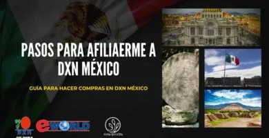 imagen decorativa afíliate a DXN México