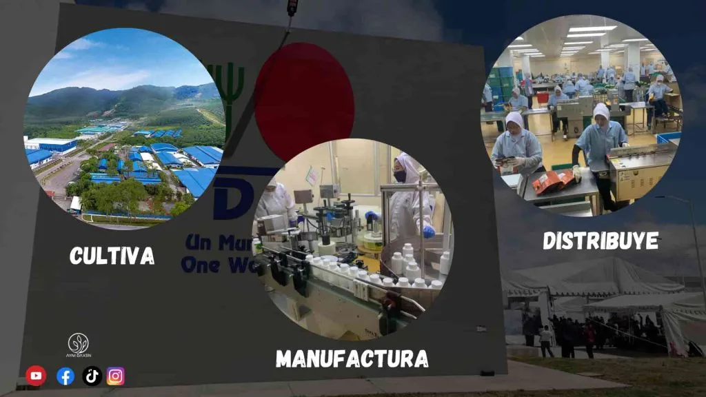CULTIVA MANUFACTURA DISTRIBUYE