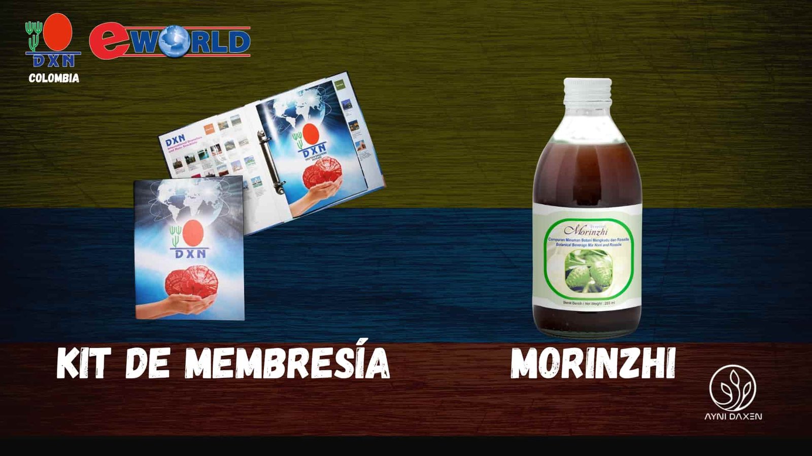 Kit Clasico Kit de Membresia+1 botella de Morinzhi