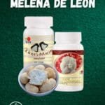 Tableta Melena De León DXN, Polvo De Hongo Melena De León DXN