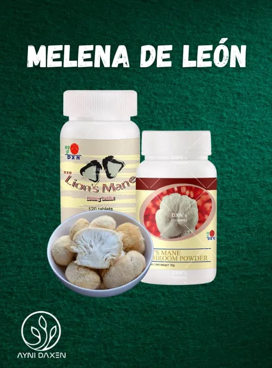Tableta Melena De León DXN, Polvo De Hongo Melena De León DXN