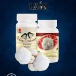Tableta Melena De León DXN, Polvo De Hongo Melena De León DXN