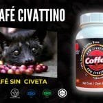 café DXN Civattino y foto de una civeta