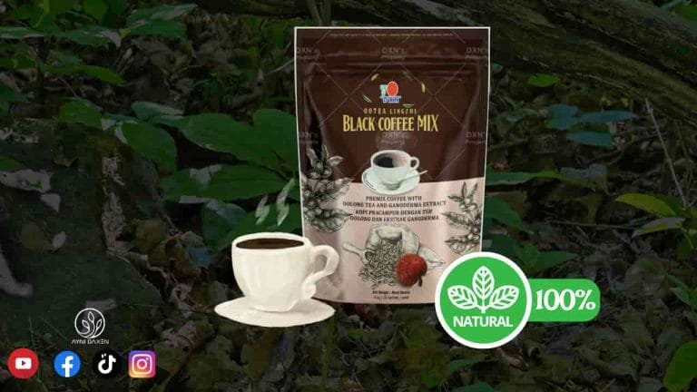 Ootea Lingzhi mezcla de café negro