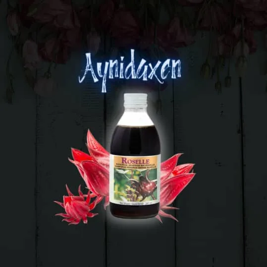 ZUMO DE ROSA DE JAMAICA (ROSELLE)