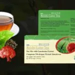 Reishi Gano Tea de DXN en presentación de caja con una taza de té y te de Camellia Sinensis
