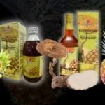 DXN LIGNOPINE de 285 ml o 700 ml con piña y Lignosus rhinocerus