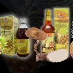 DXN LIGNOPINE de 285 ml o 700 ml con piña y Lignosus rhinocerus