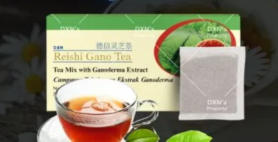 Reishi Gano Tea de DXN en presentación de caja con una taza de té más un vaso de té y te de Camellia Sinensis