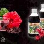 botella de Roselle más flor de Jamaica