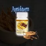 DXN Cordyceps Cápsula: Cordyceps sinesis en polvo.