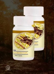 DXN Cordyceps Cápsula: Cordyceps sinesis en polvo.