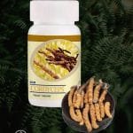 DXN Cordyceps Cápsula: Cordyceps sinesis en polvo.