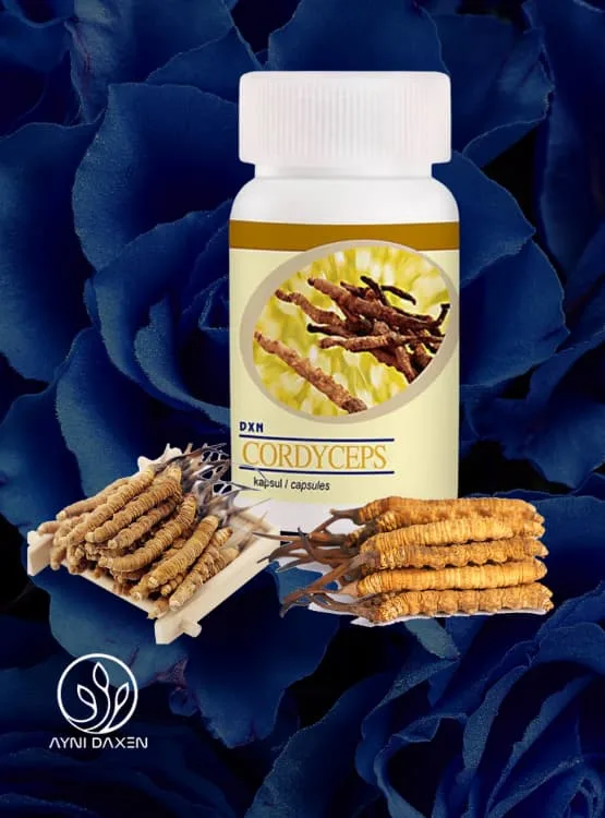 DXN Cordyceps Cápsula: Cordyceps sinesis en polvo.